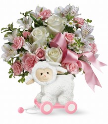 Teleflora's Sweet Little Lamb - Baby Pink from Arjuna Florist in Brockport, NY